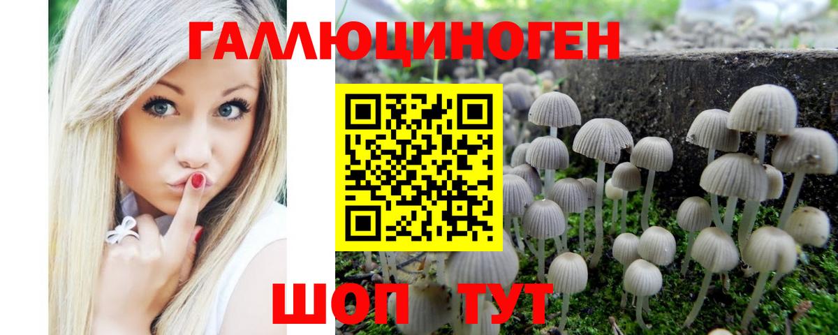 Галлюциногенные грибы Psilocybe  Вход с VPN  Псилоцибиновые грибы MAGIC MUSHROOMS  Шуя 